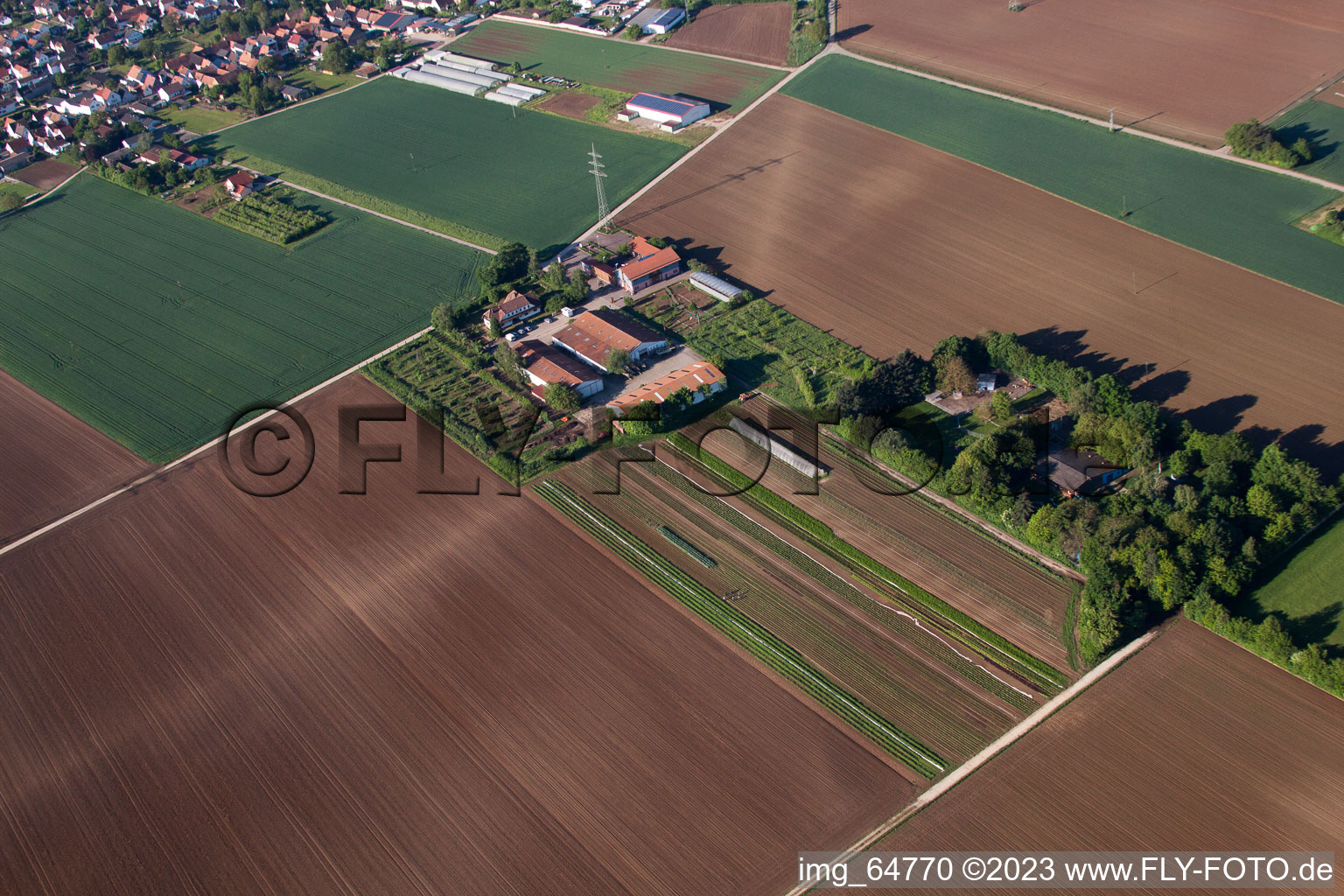 Photographie aérienne de Schosberghof à Minfeld dans le département Rhénanie-Palatinat, Allemagne