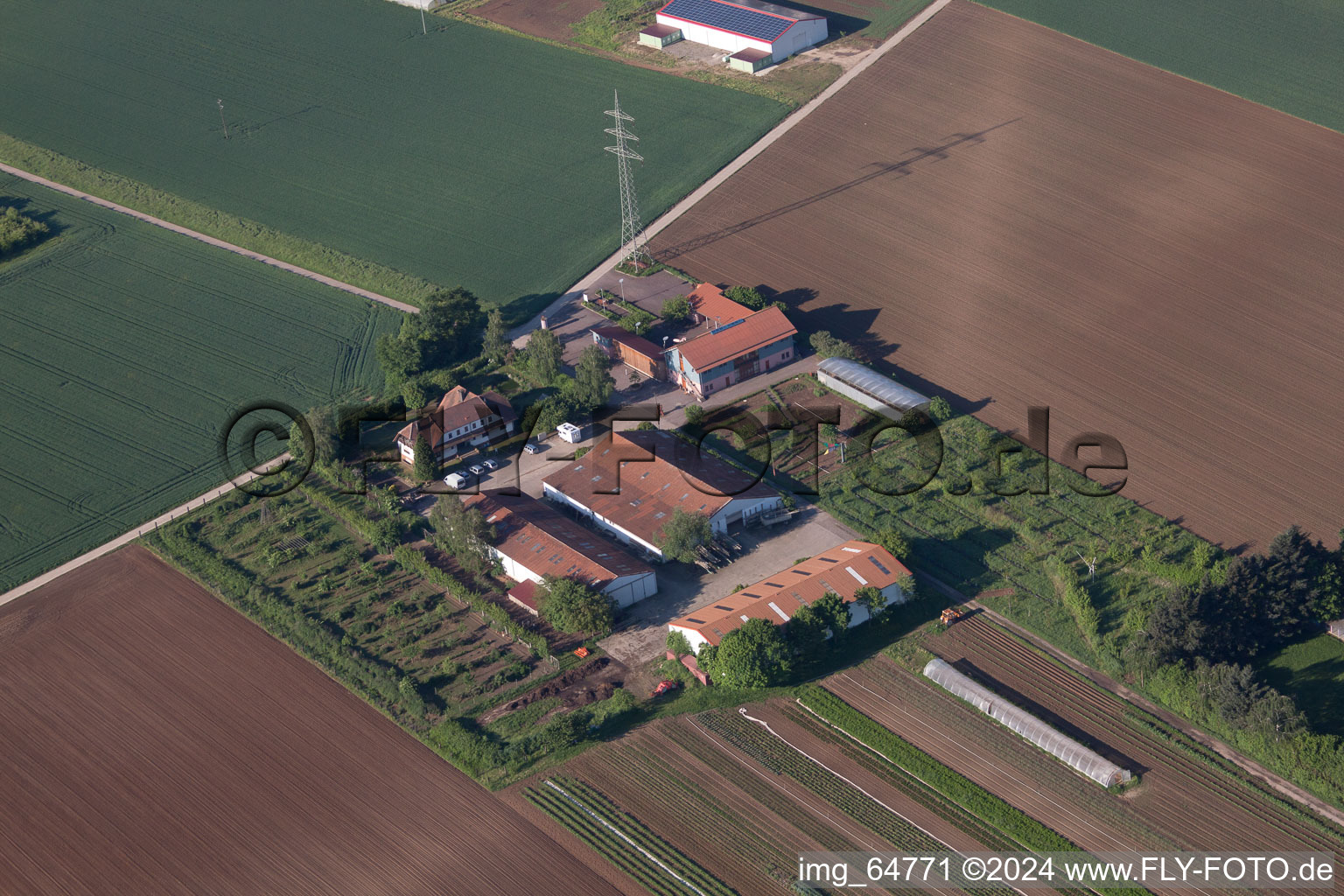 Vue oblique de Schosberghof à Minfeld dans le département Rhénanie-Palatinat, Allemagne