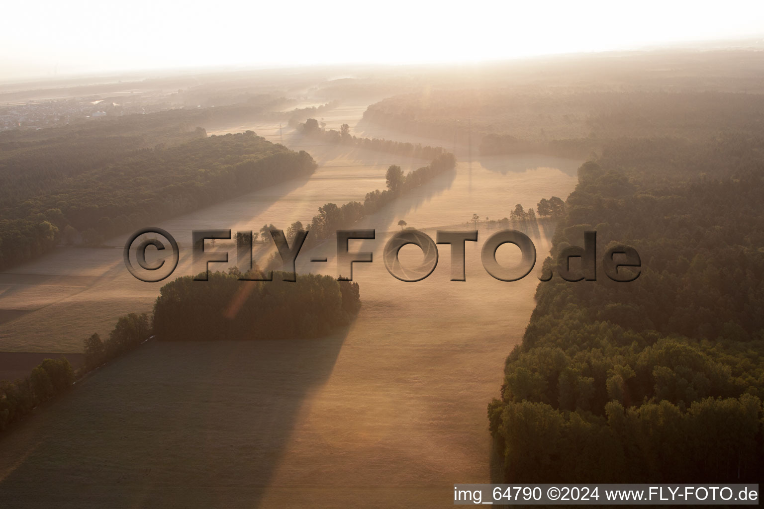 Vallée d'Otterbachtal à Minfeld dans le département Rhénanie-Palatinat, Allemagne depuis l'avion