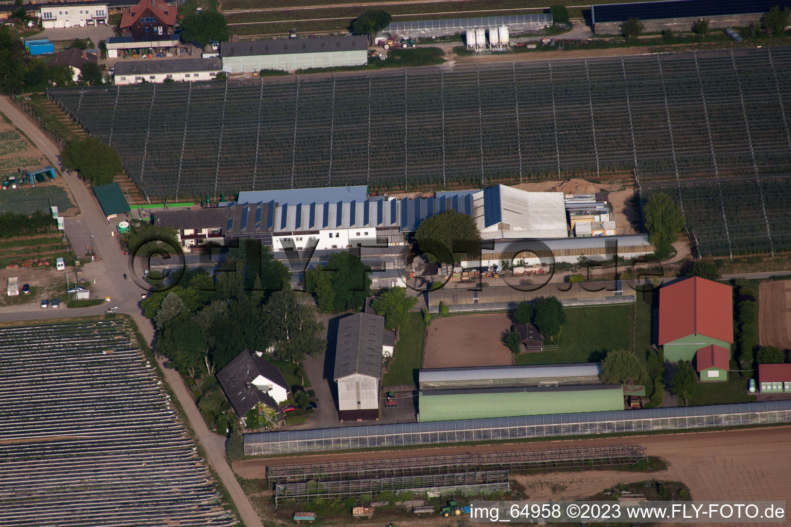 Vue aérienne de Ferme de fruits et d'asperges, Hofcafé Zapf à Kandel dans le département Rhénanie-Palatinat, Allemagne