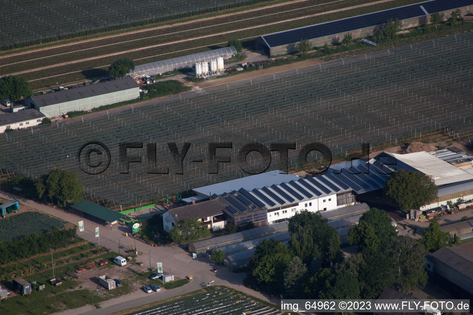Photographie aérienne de Ferme de fruits et d'asperges, Hofcafé Zapf à Kandel dans le département Rhénanie-Palatinat, Allemagne