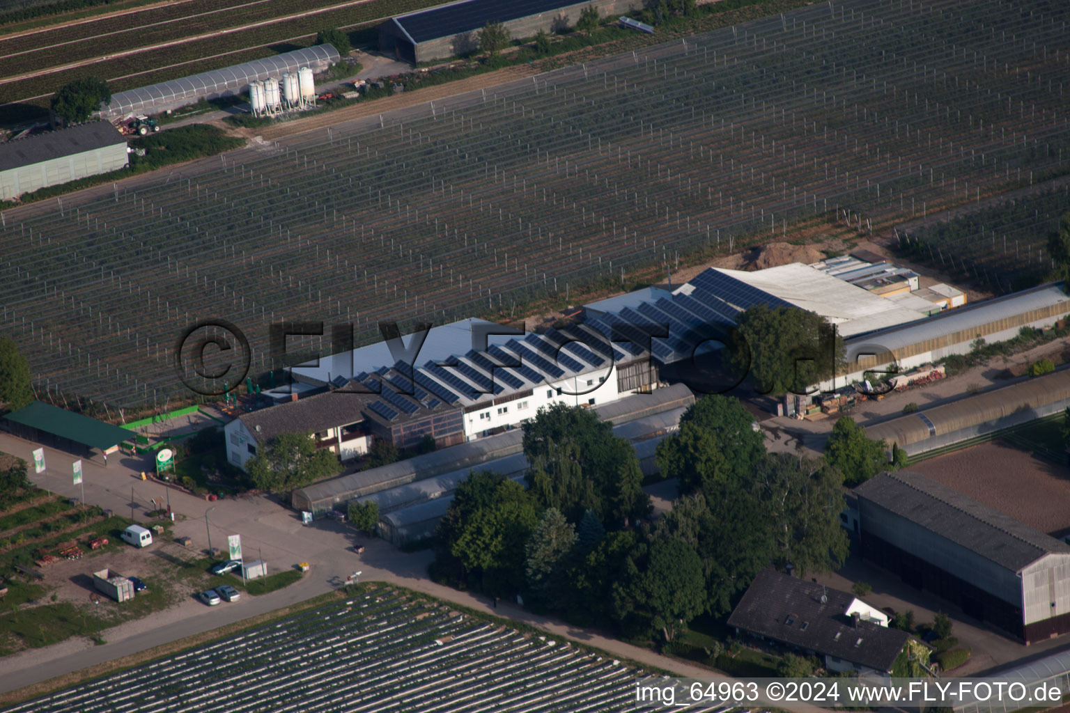 Vue oblique de Ferme de fruits et d'asperges, Hofcafé Zapf à Kandel dans le département Rhénanie-Palatinat, Allemagne