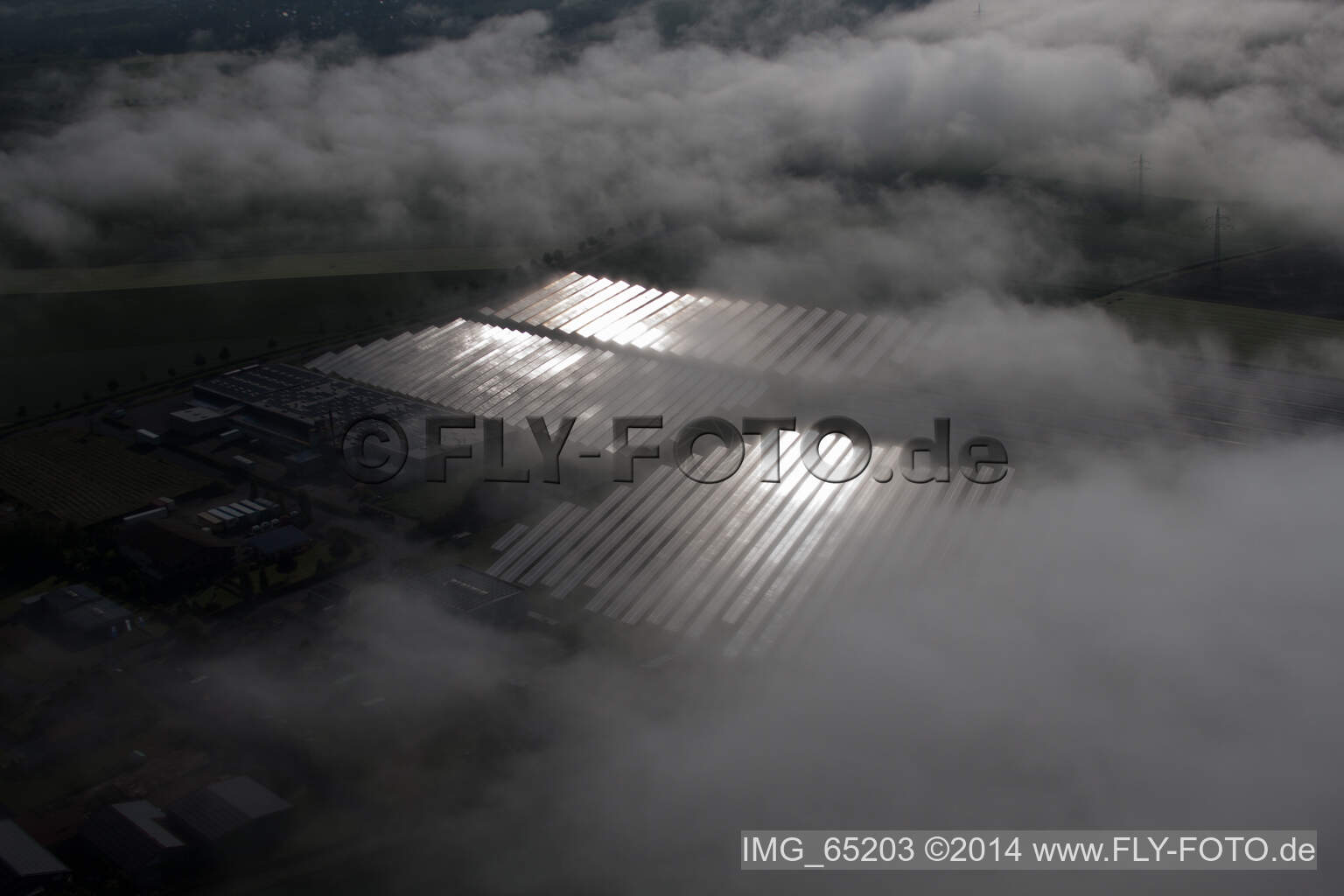 Photographie aérienne de En raison des conditions météorologiques, les rangées de panneaux du système photovoltaïque du parc solaire ou de la centrale solaire du quartier de Bredenborn sont noyées dans une couche de brouillard. à Marienmünster dans le département Rhénanie du Nord-Westphalie, Allemagne