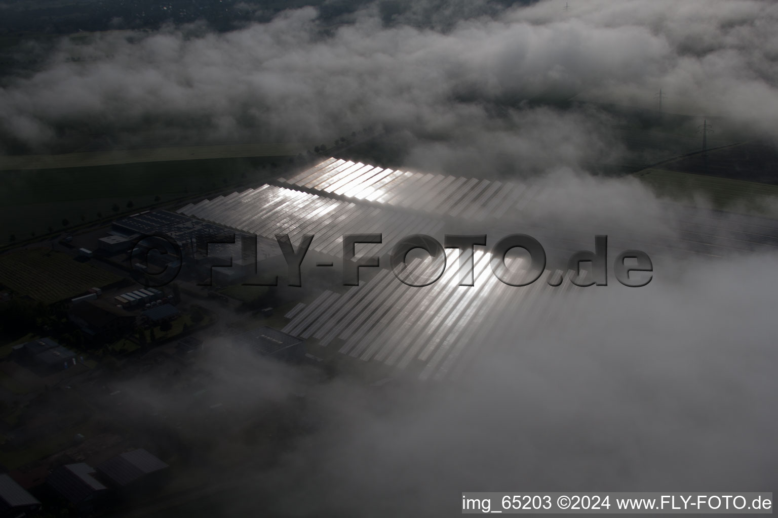 Photographie aérienne de En raison des conditions météorologiques, des rangées de panneaux du système photovoltaïque du parc solaire ou de la centrale solaire sont encastrées dans une couche de brouillard à le quartier Bredenborn in Marienmünster dans le département Rhénanie du Nord-Westphalie, Allemagne