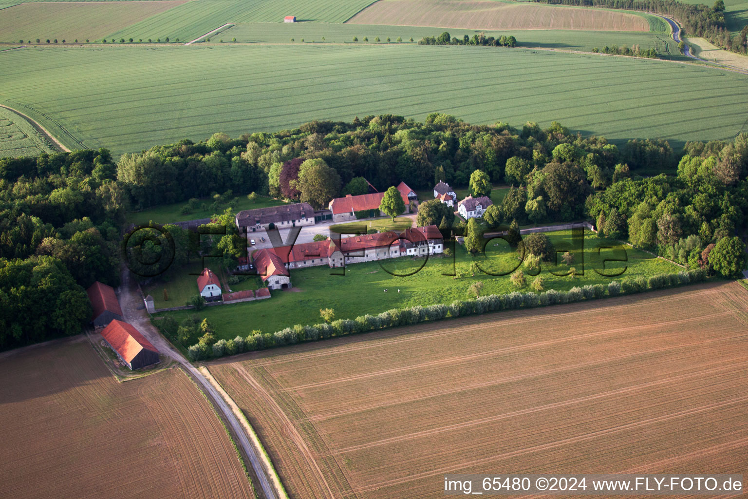 Vue aérienne de Propriété d'une ferme en bordure de champs cultivés dans le quartier d'Abbenburg à le quartier Bökendorf in Brakel dans le département Rhénanie du Nord-Westphalie, Allemagne