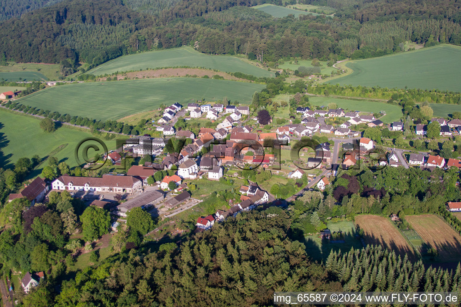 Vue aérienne de Quartier Blankenau in Beverungen dans le département Rhénanie du Nord-Westphalie, Allemagne