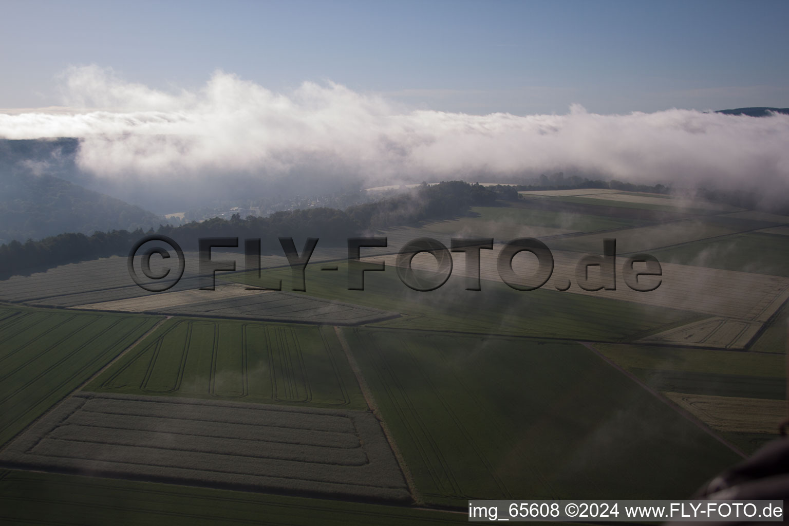 Photographie aérienne de Quartier Herstelle in Beverungen dans le département Rhénanie du Nord-Westphalie, Allemagne