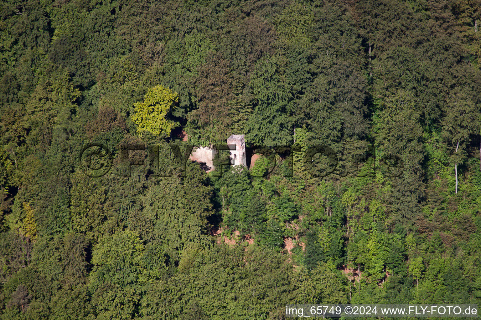 Image drone de Höxter dans le département Rhénanie du Nord-Westphalie, Allemagne