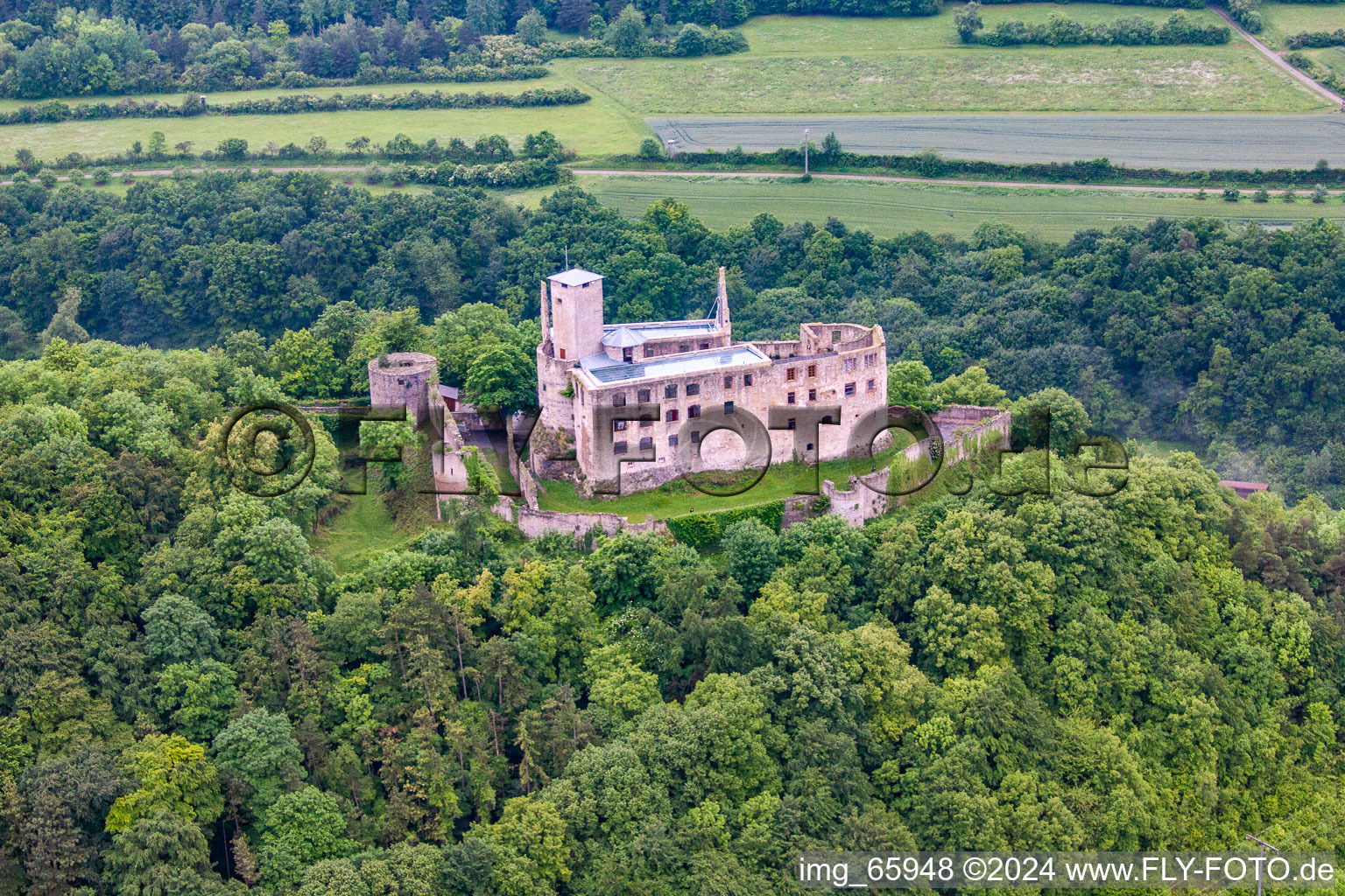 Vue aérienne de Château de Trimbourg à le quartier Trimberg in Elfershausen dans le département Bavière, Allemagne