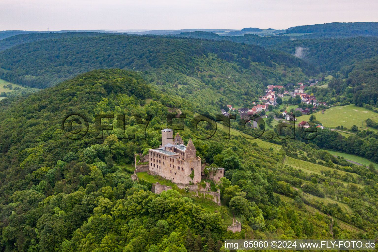 Photographie aérienne de Château de Trimbourg à le quartier Trimberg in Elfershausen dans le département Bavière, Allemagne