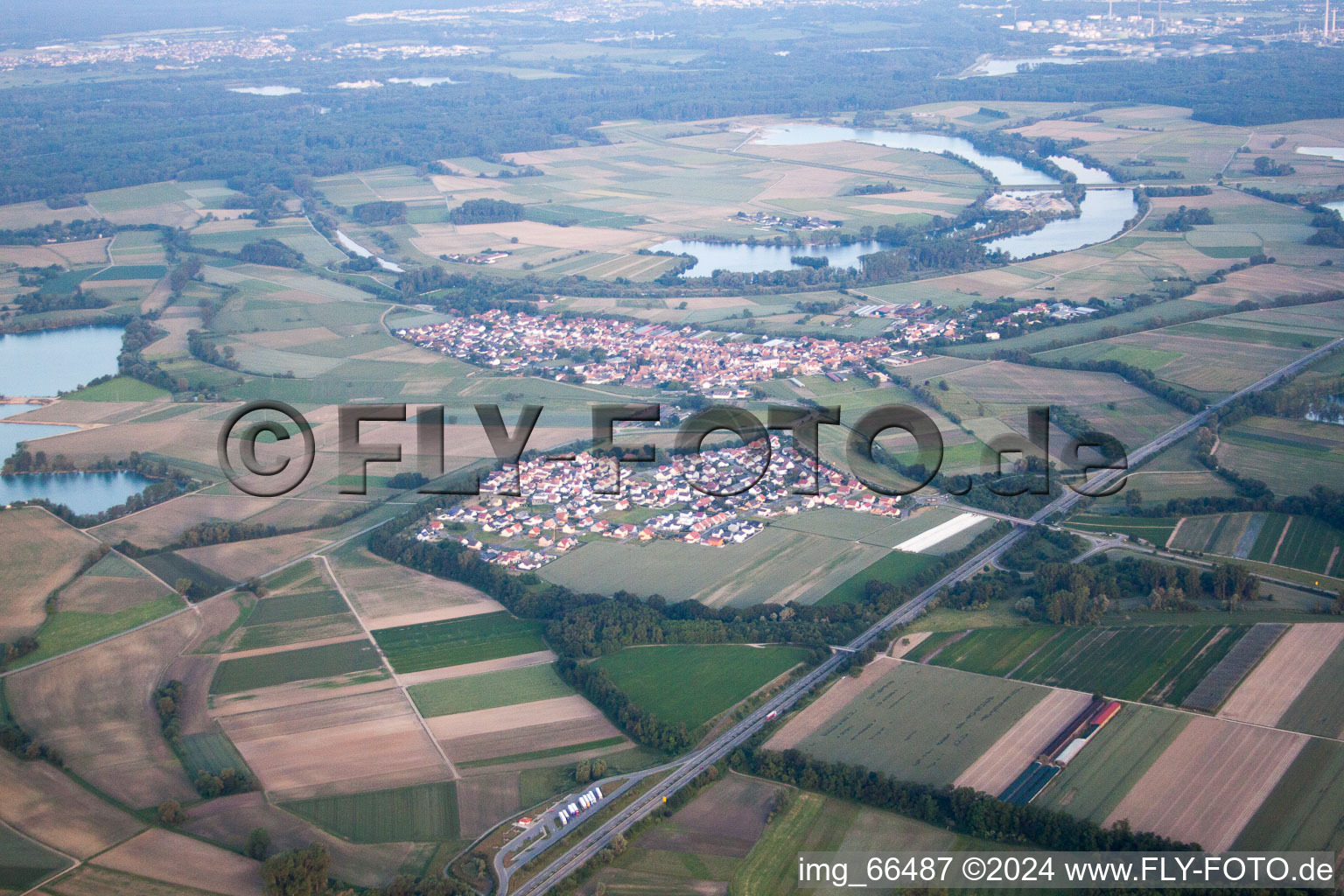 Vue aérienne de Quartier Hardtwald in Neupotz dans le département Rhénanie-Palatinat, Allemagne