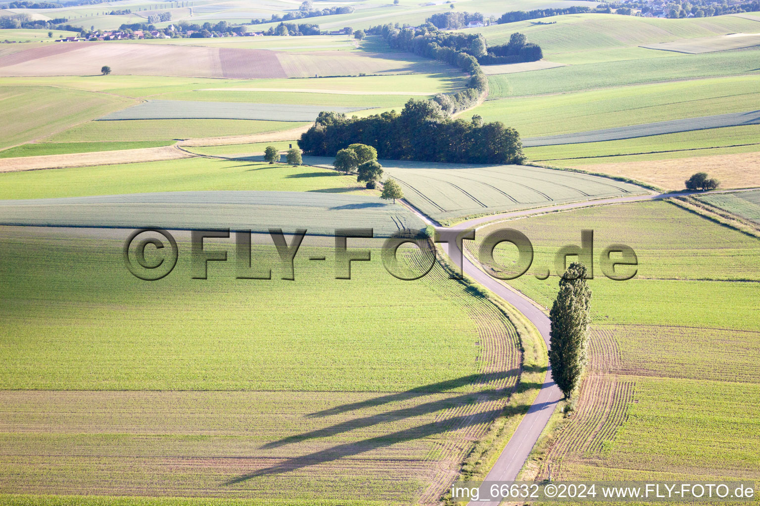 Vue d'oiseau de Oberlauterbach dans le département Bas Rhin, France