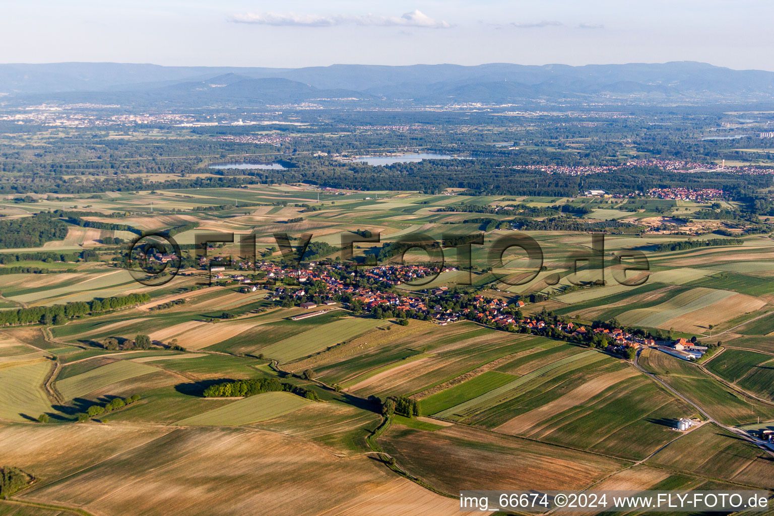 Vue aérienne de Champs agricoles et surfaces utilisables à Wintzenbach dans le département Bas Rhin, France