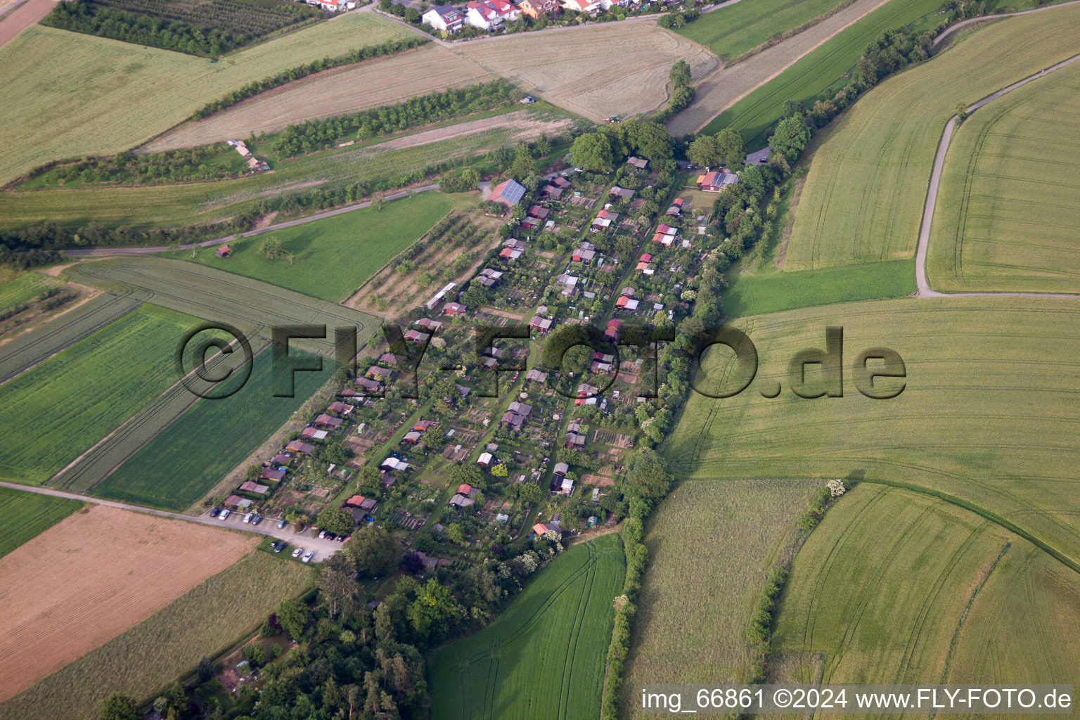 Vue aérienne de Espace jardin familial à Herrenberg dans le département Bade-Wurtemberg, Allemagne