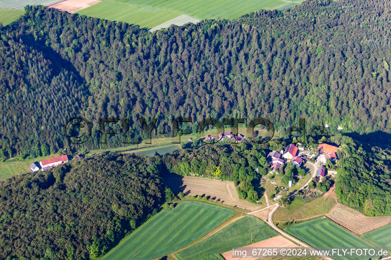 Vue aérienne de Ferme Bioland BAIKER à le quartier Bermaringen in Blaustein dans le département Bade-Wurtemberg, Allemagne