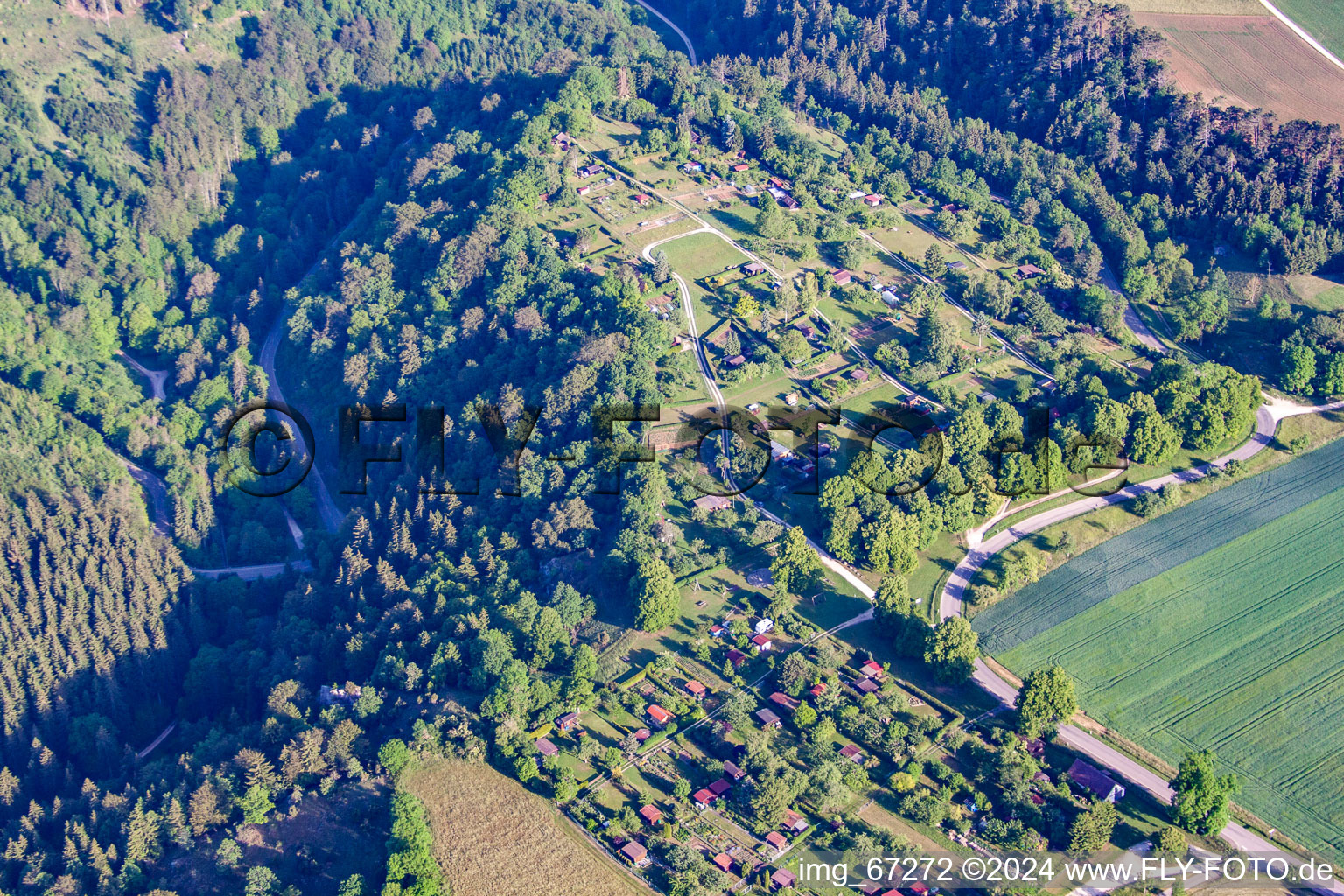 Vue aérienne de Espace jardin familial à le quartier Bermaringen in Blaustein dans le département Bade-Wurtemberg, Allemagne