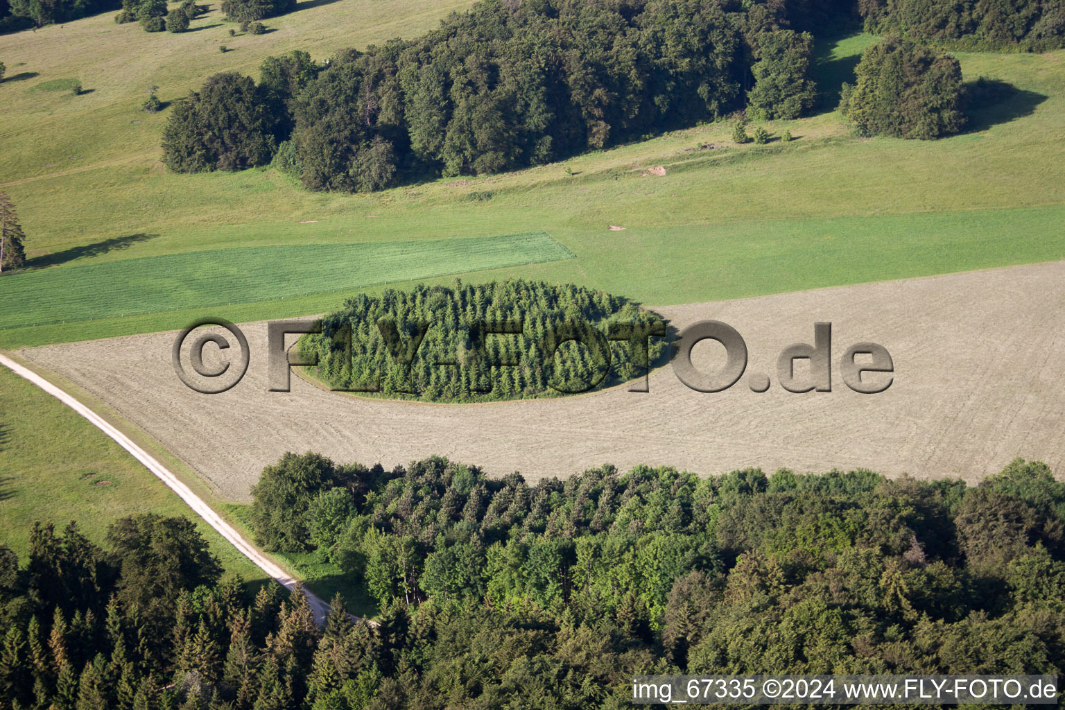 Vue aérienne de Protection circulaire sur champ de céréales à Gutsbezirk Münsingen dans le département Bade-Wurtemberg, Allemagne