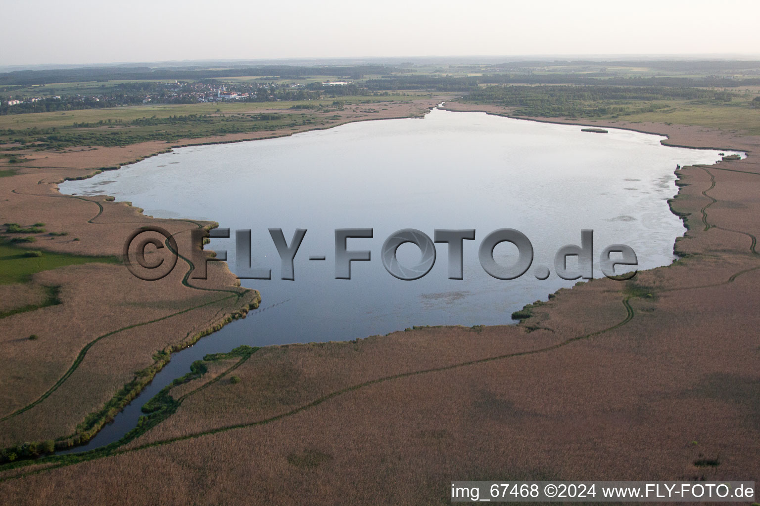 Vue aérienne de Zones riveraines de roseaux dans la région du lac Federsee dans le district de Kappel à Oggelshausen à Bad Buchau dans le département Bade-Wurtemberg, Allemagne