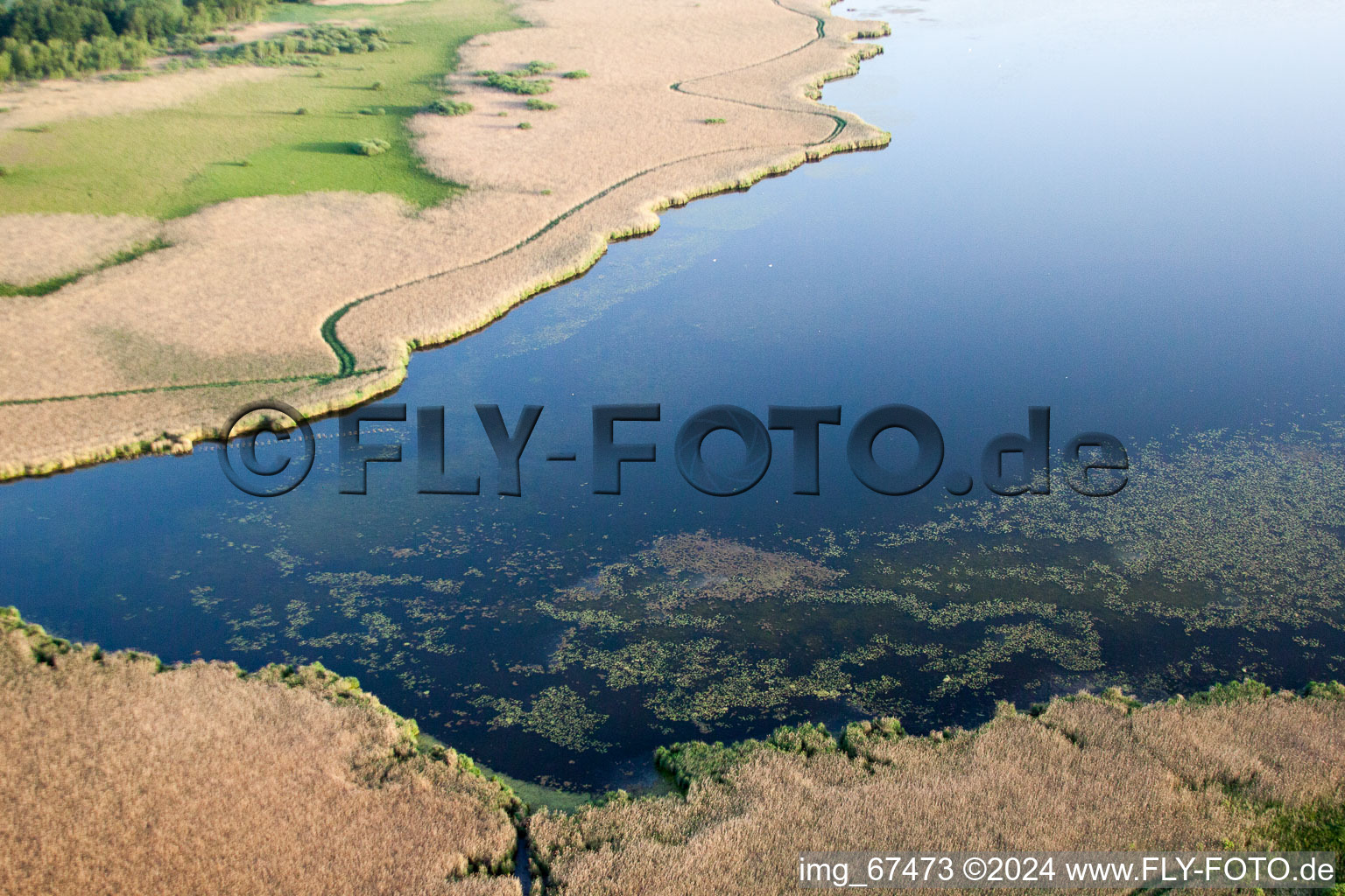 Vue aérienne de Lac Feder à Seekirch dans le département Bade-Wurtemberg, Allemagne