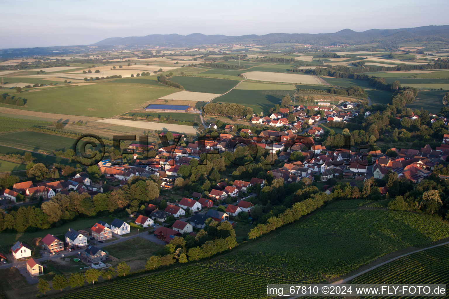 Vue aérienne de Dierbach dans le département Rhénanie-Palatinat, Allemagne