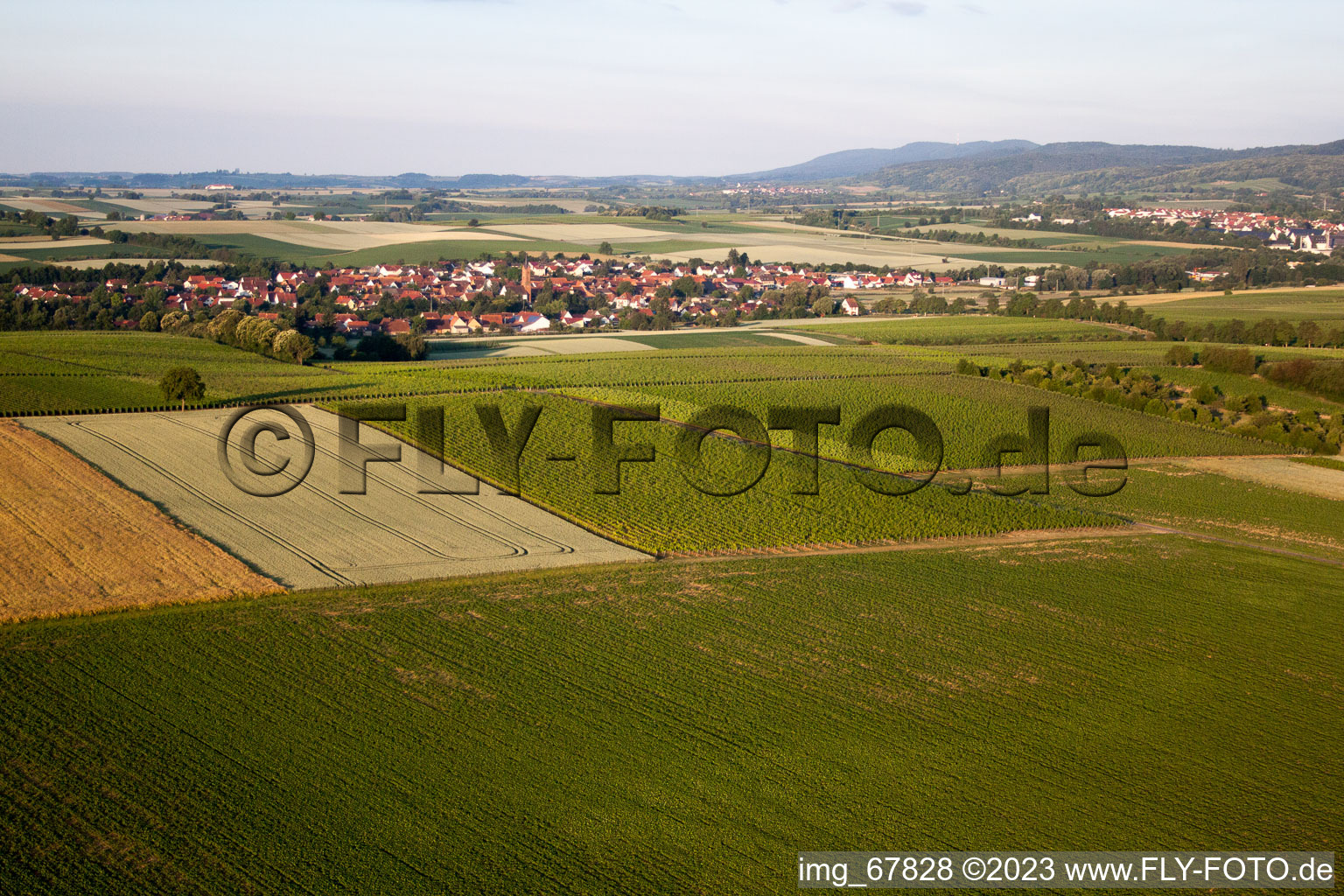 Image drone de Niederhorbach dans le département Rhénanie-Palatinat, Allemagne