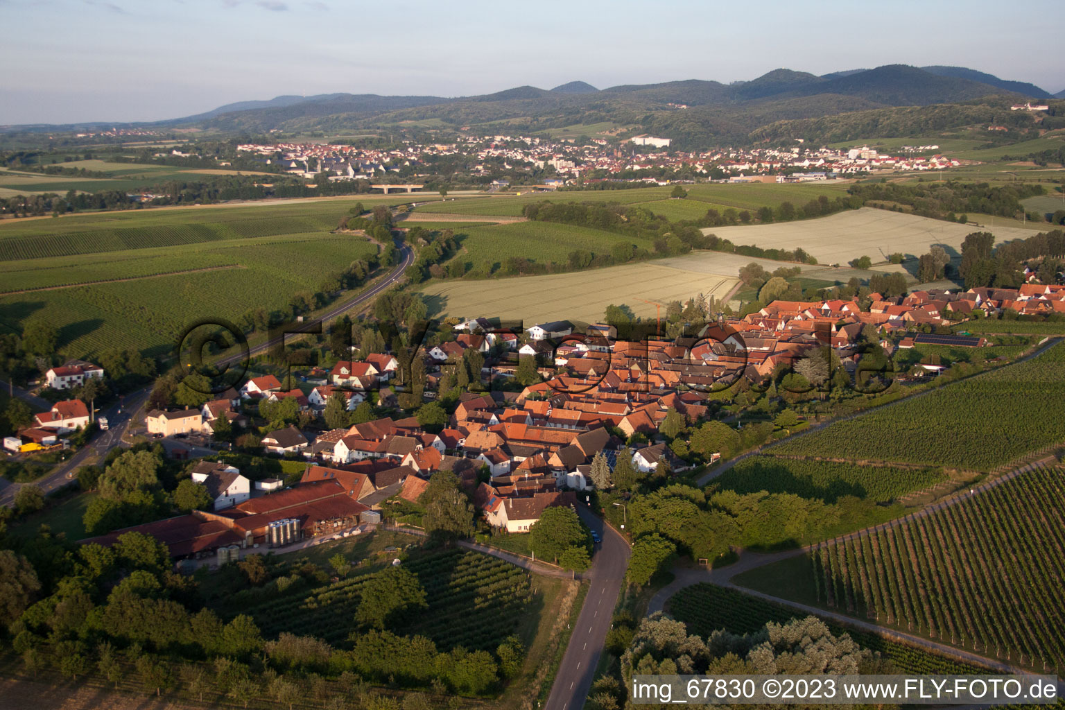 Niederhorbach dans le département Rhénanie-Palatinat, Allemagne du point de vue du drone