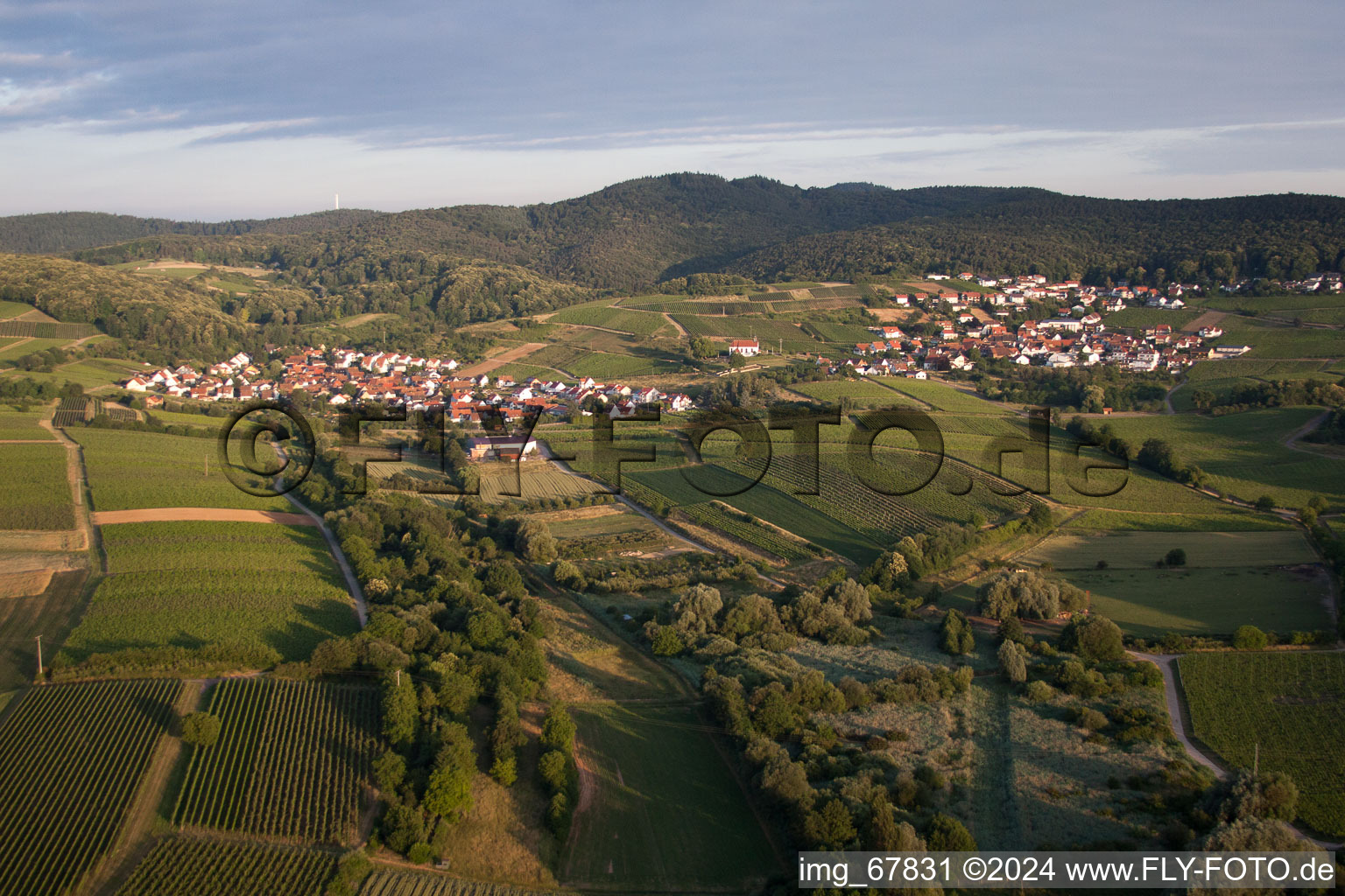 Vue aérienne de Zone locale et environs sur le Haardtrand à le quartier Gleishorbach in Gleiszellen-Gleishorbach dans le département Rhénanie-Palatinat, Allemagne