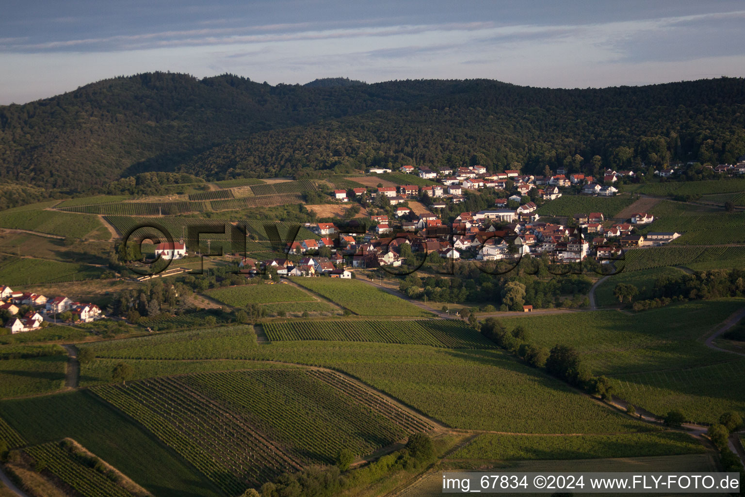 Quartier Gleiszellen in Gleiszellen-Gleishorbach dans le département Rhénanie-Palatinat, Allemagne du point de vue du drone