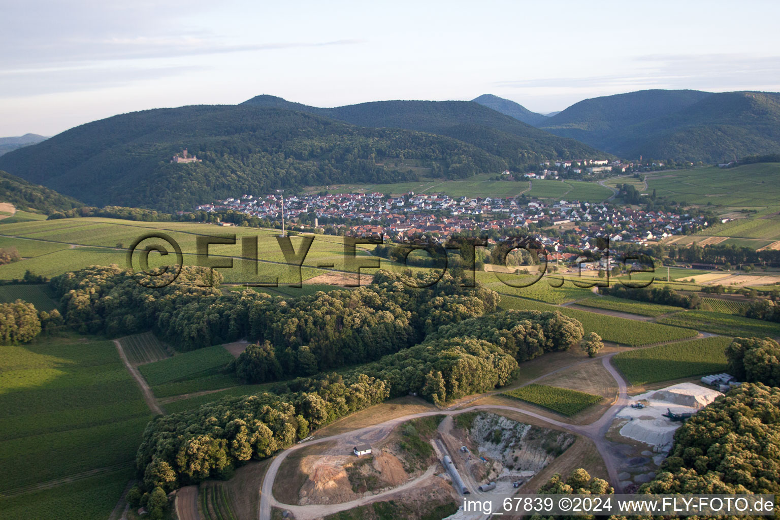 Klingenmünster dans le département Rhénanie-Palatinat, Allemagne vu d'un drone