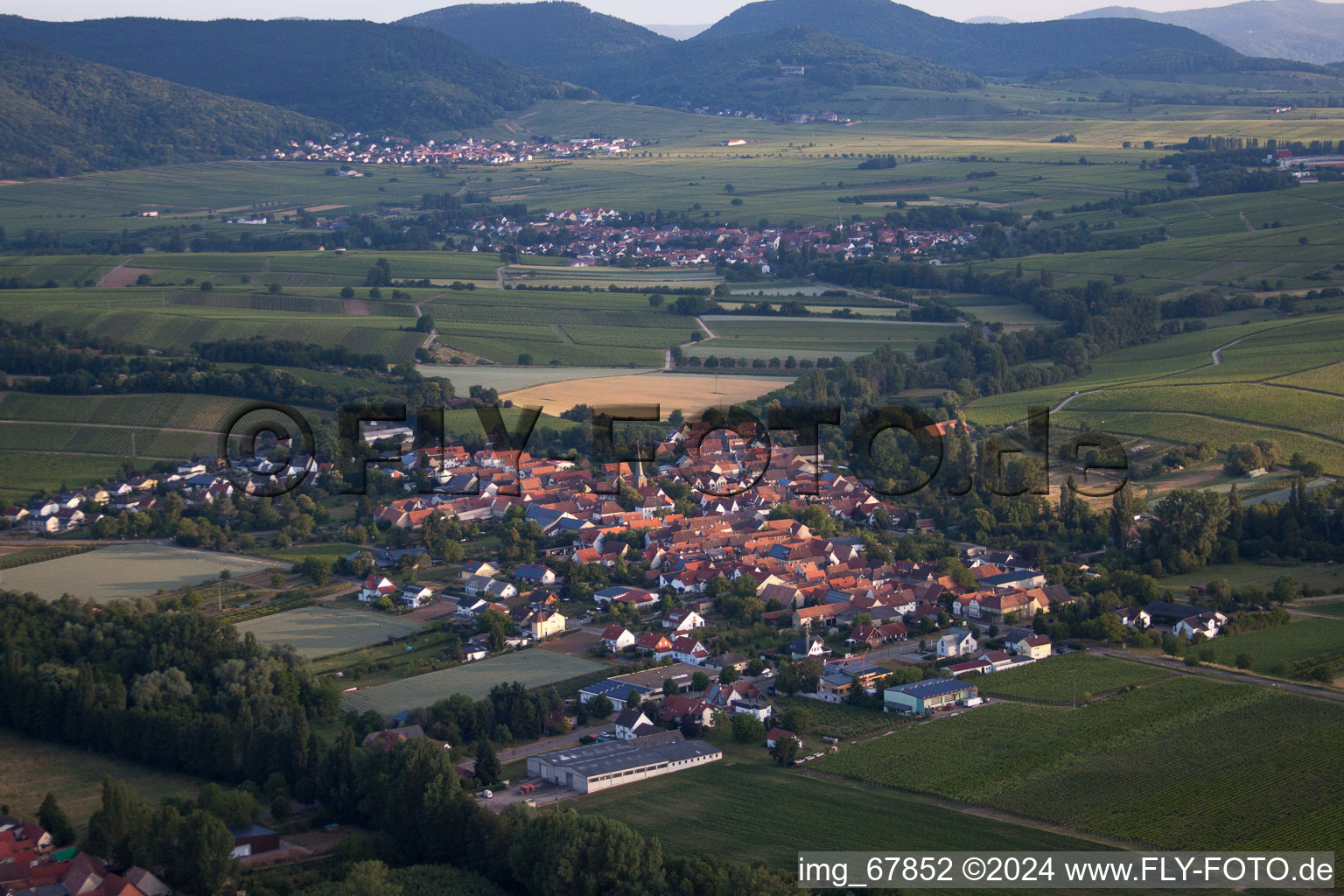 Photographie aérienne de Champs et vignobles avec en toile de fond le Haardtrand de la forêt du Palatinat à le quartier Heuchelheim in Heuchelheim-Klingen dans le département Rhénanie-Palatinat, Allemagne