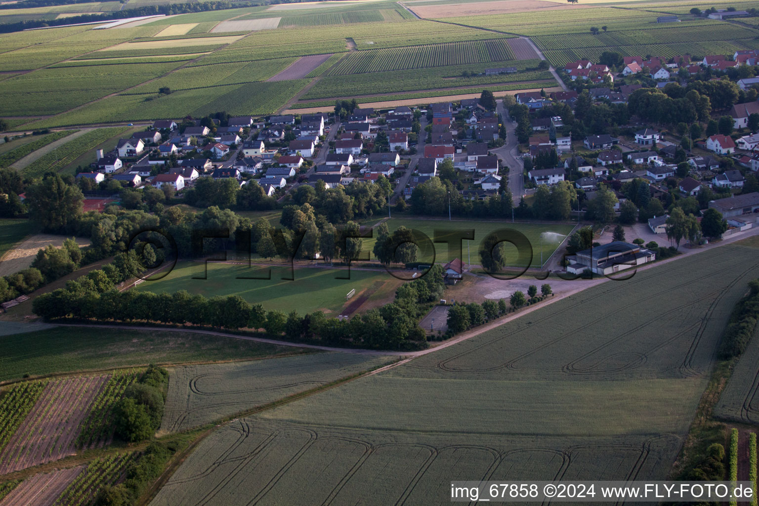 Vue d'oiseau de Insheim dans le département Rhénanie-Palatinat, Allemagne