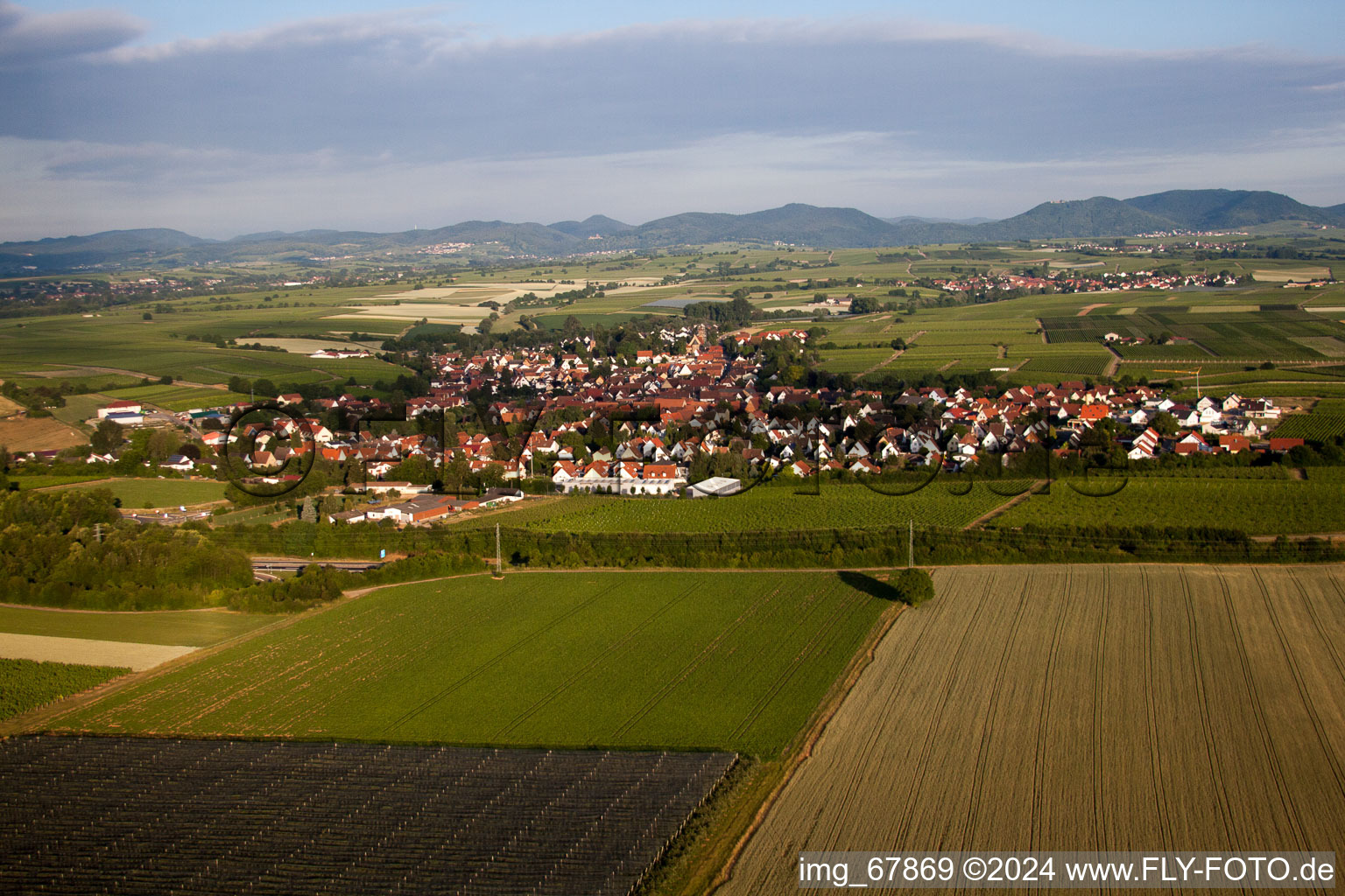 Photographie aérienne de Insheim dans le département Rhénanie-Palatinat, Allemagne