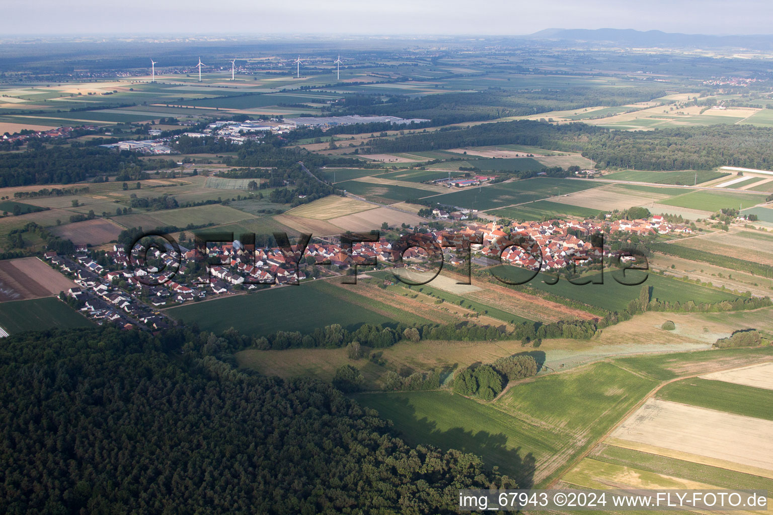 Du nord-est à Erlenbach bei Kandel dans le département Rhénanie-Palatinat, Allemagne vue du ciel