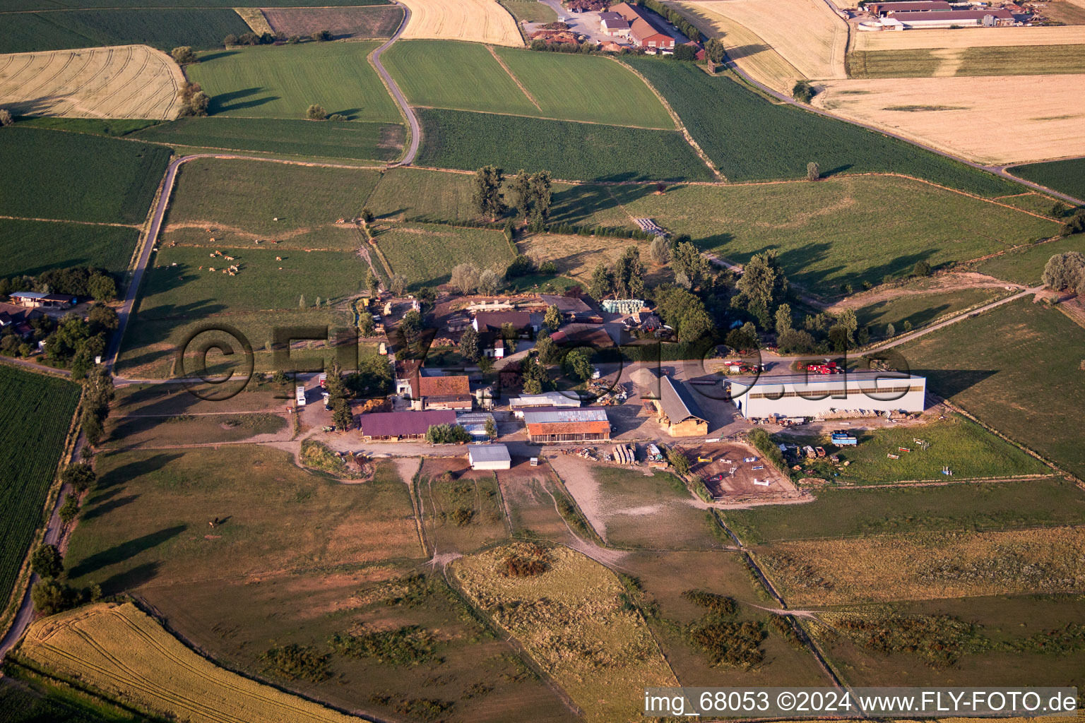 Vue aérienne de Ernst Frieder Hornberger à Willstätt dans le département Bade-Wurtemberg, Allemagne