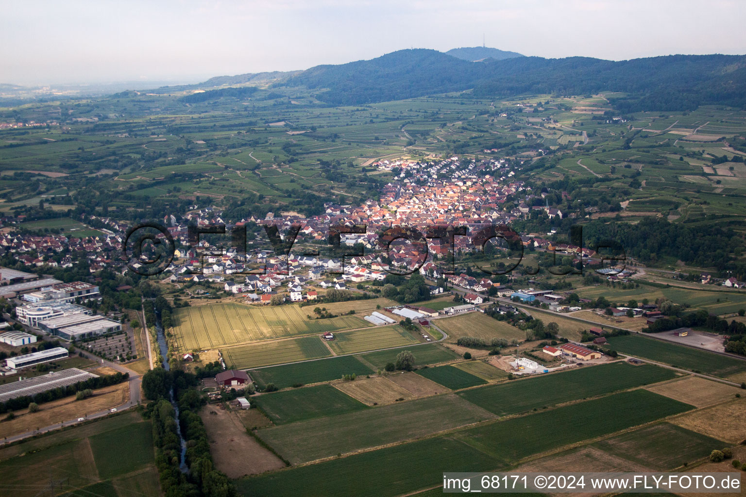 Riegel am Kaiserstuhl dans le département Bade-Wurtemberg, Allemagne depuis l'avion