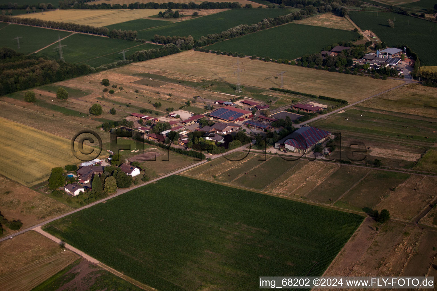 Vue oblique de Gottenheim dans le département Bade-Wurtemberg, Allemagne