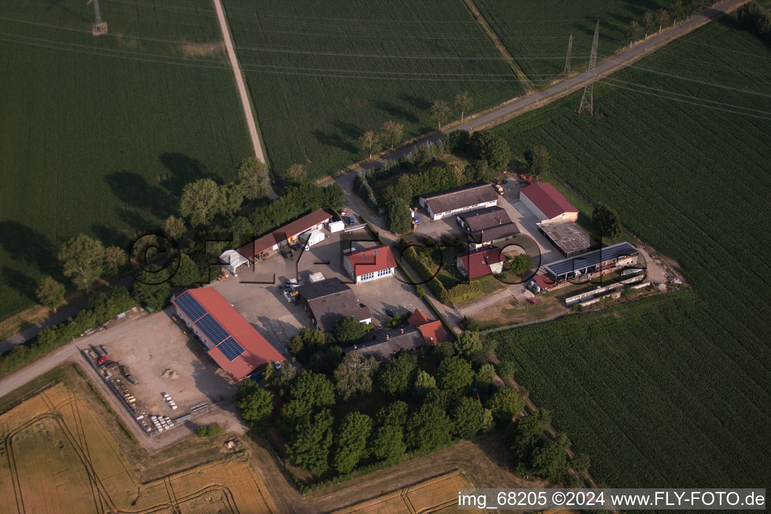 Vue aérienne de Cueillir des fraises à Merdingen dans le département Bade-Wurtemberg, Allemagne