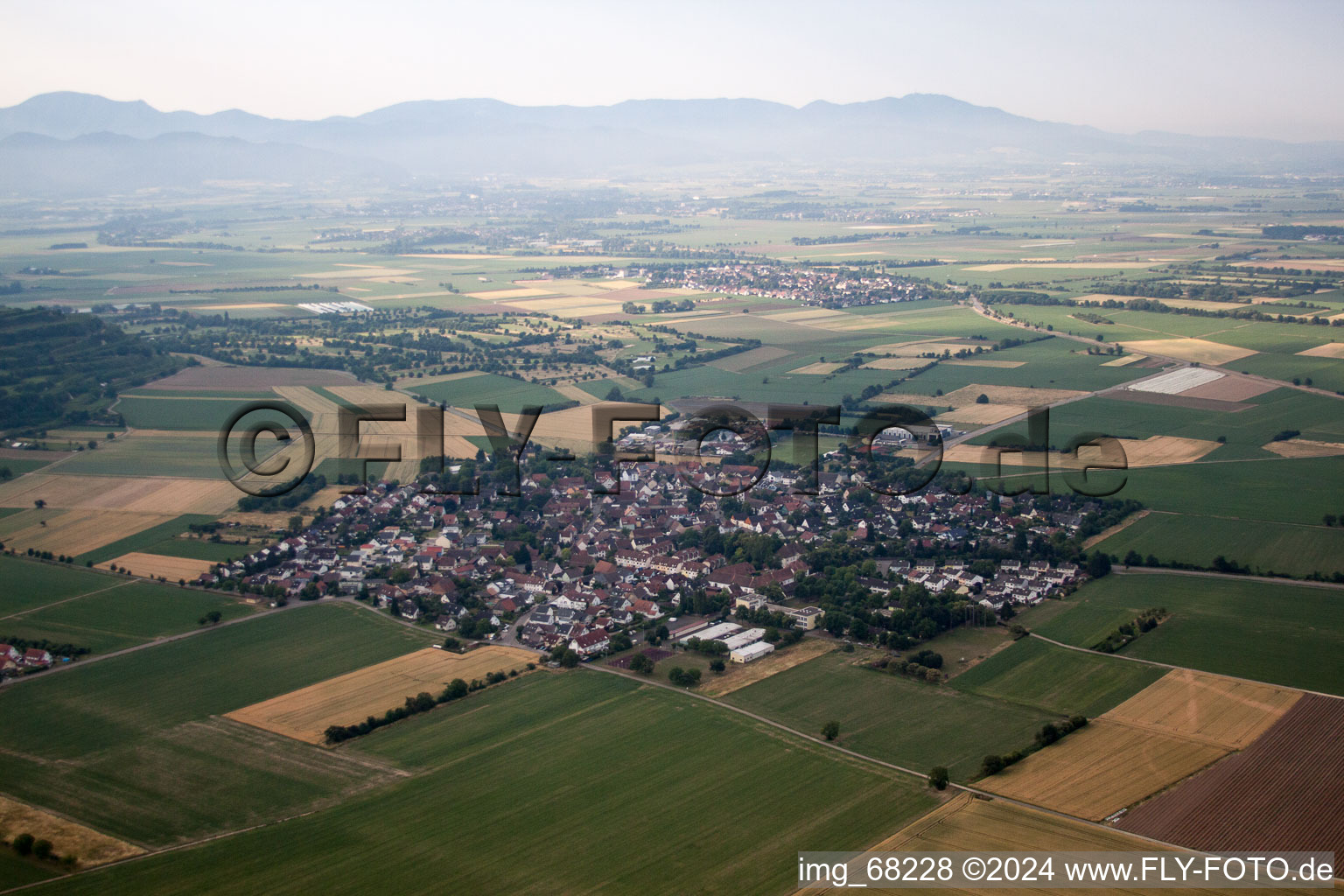 Vue aérienne de Quartier Oberrimsingen in Breisach am Rhein dans le département Bade-Wurtemberg, Allemagne