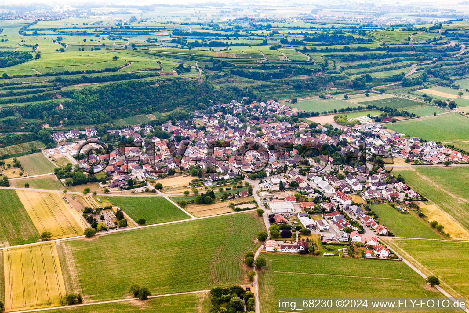 Vue aérienne de Dans le quartier Niederrimsingen à Breisach am Rhein à Niederrimsingen dans le département Bade-Wurtemberg, Allemagne