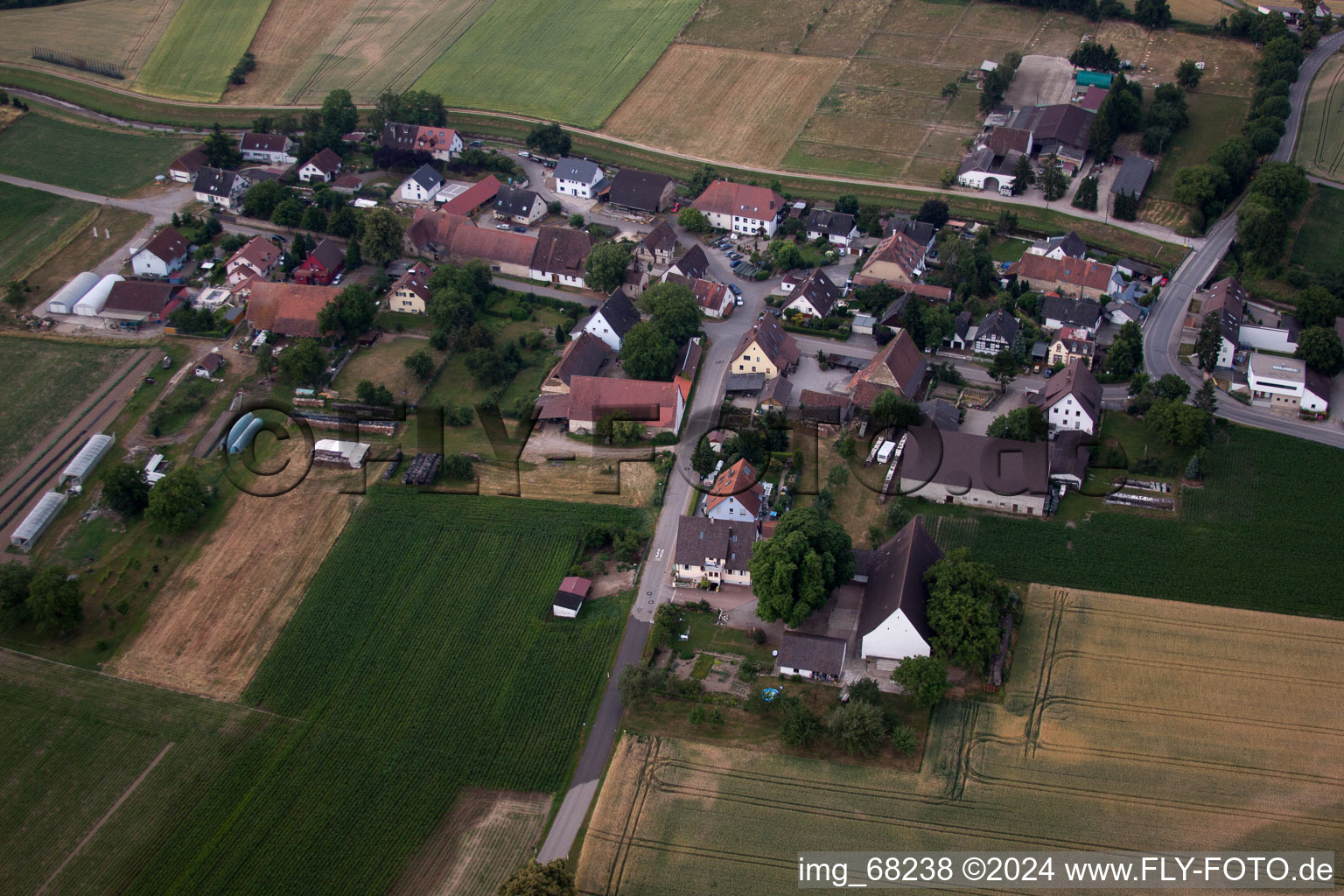 Vue aérienne de Quartier Oberrimsingen in Breisach am Rhein dans le département Bade-Wurtemberg, Allemagne