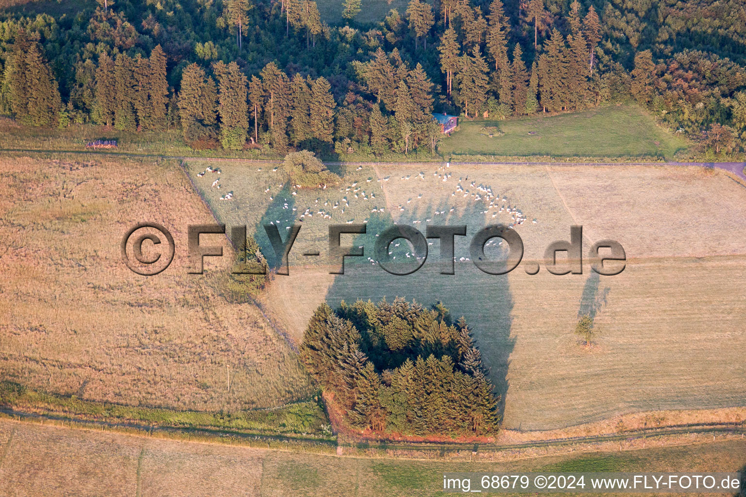 Photographie aérienne de Hoherodskopf dans le département Hesse, Allemagne