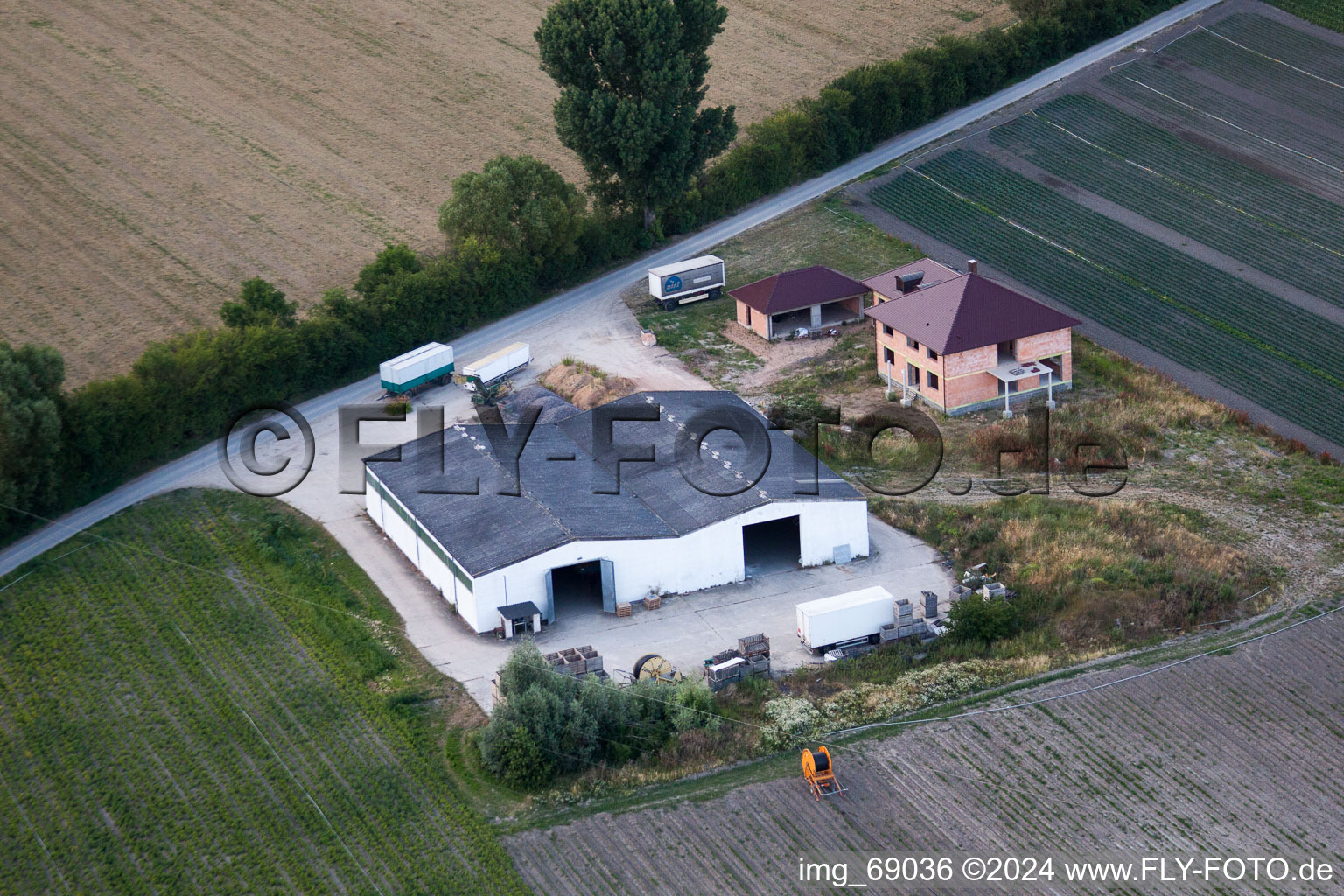 Vue aérienne de Weingartenstr à le quartier Eppstein in Frankenthal dans le département Rhénanie-Palatinat, Allemagne