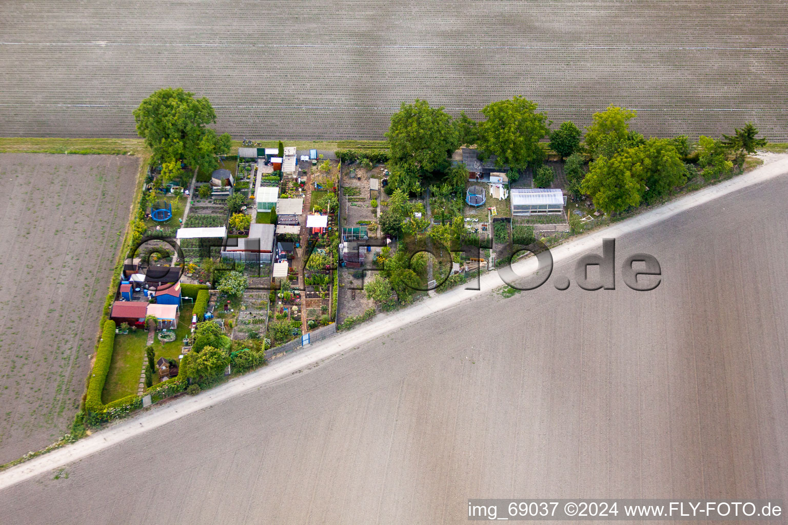 Vue aérienne de Parcelles d'un jardin familial superficie Eppstein (Palatinat) à le quartier Eppstein in Frankenthal dans le département Rhénanie-Palatinat, Allemagne