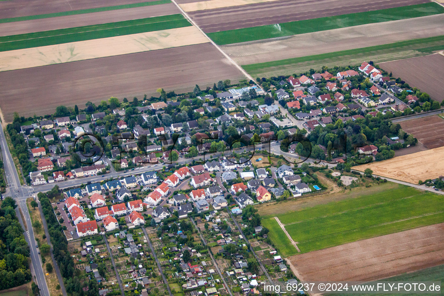 Vue aérienne de Rue Lambsheimer à Frankenthal dans le département Rhénanie-Palatinat, Allemagne