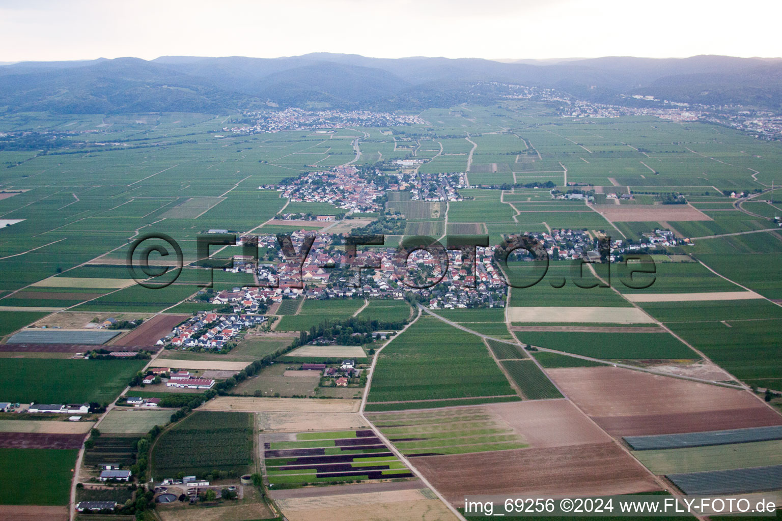 Ellerstadt dans le département Rhénanie-Palatinat, Allemagne du point de vue du drone