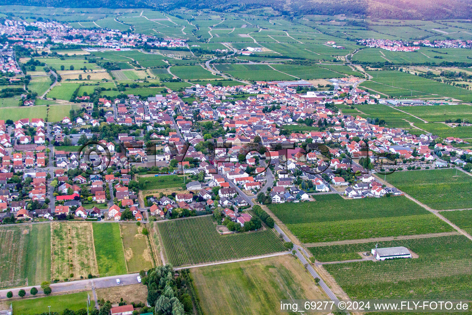 Vue aérienne de De l'est à le quartier Niederkirchen in Niederkirchen bei Deidesheim dans le département Rhénanie-Palatinat, Allemagne