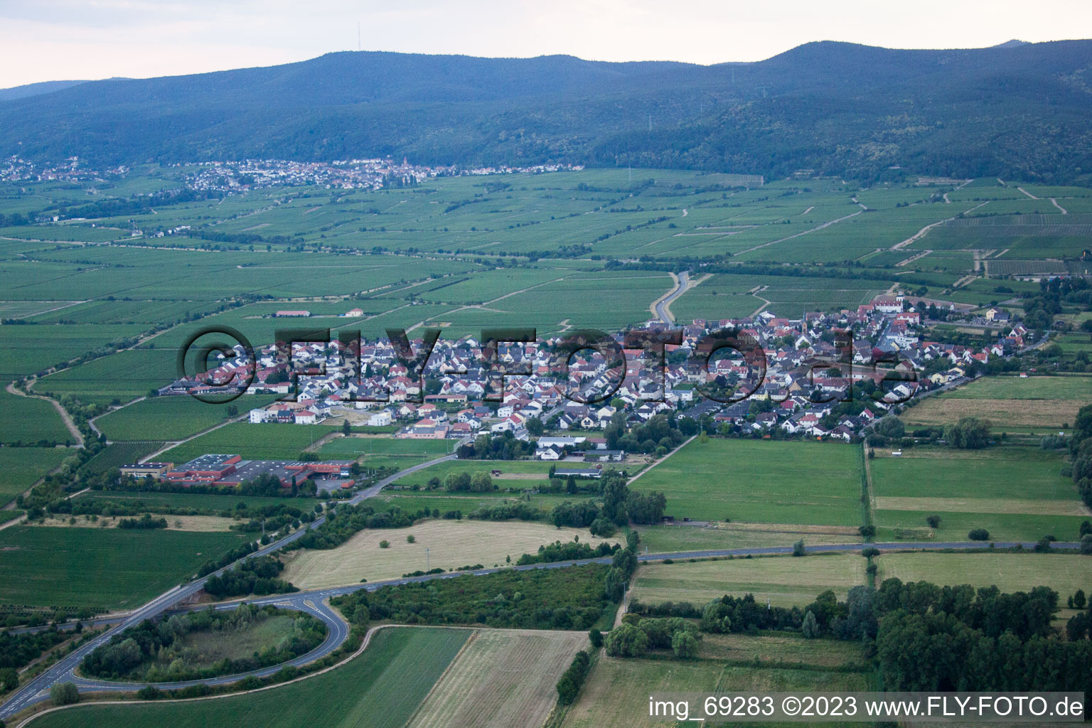 Ruppertsberg dans le département Rhénanie-Palatinat, Allemagne vue d'en haut