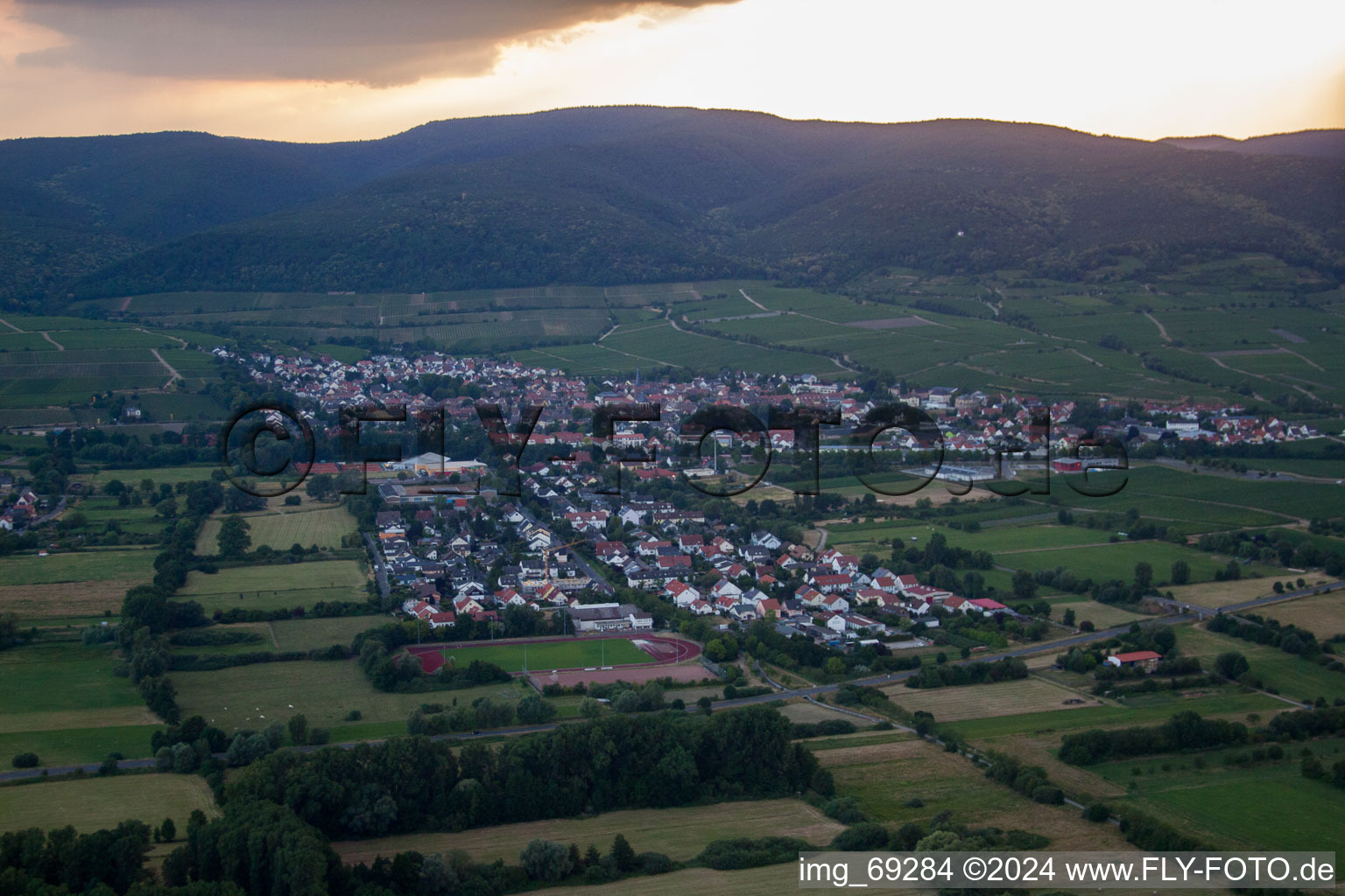 Deidesheim dans le département Rhénanie-Palatinat, Allemagne d'en haut