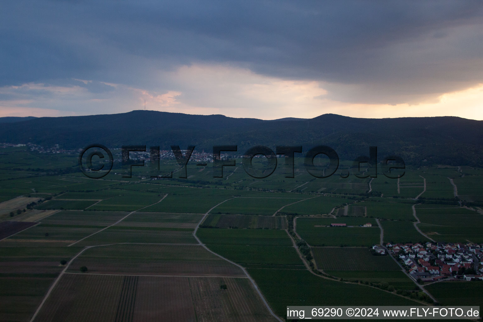 Ruppertsberg dans le département Rhénanie-Palatinat, Allemagne depuis l'avion