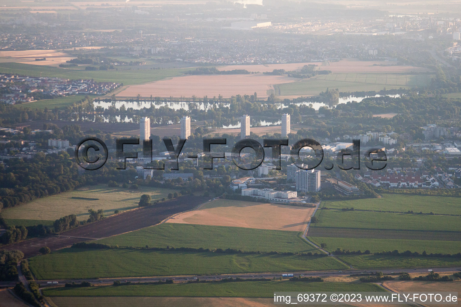 Quartier Friesenheim in Ludwigshafen am Rhein dans le département Rhénanie-Palatinat, Allemagne depuis l'avion